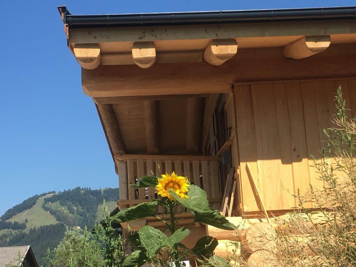 Chalet Karin Hochfilzen Bagian luar foto